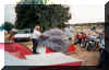 bol95_2.jpg (66378 Byte)